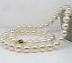 18 Aaaaa 10-11mm Perfect Round South Sea White Pearl Necklace 14k Gold Clasp