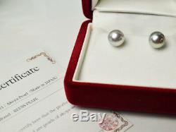 Beautiful Natural Blue Certified New Akoya Pearl Earring 8-8.5MM from Japan