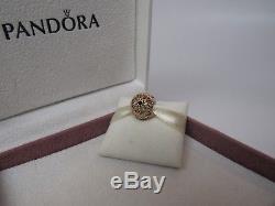 New with Hinge Box Pandora 14Kt Gold Delicate Beauty Black Spinel Charm 750821SPB