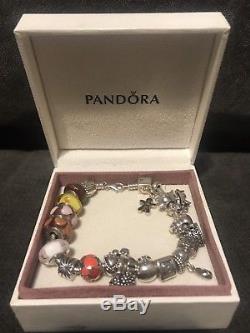 Pandora ALE 925 Sterling Silver 21 Retired Charms Beautiful Bracelet Lot Set